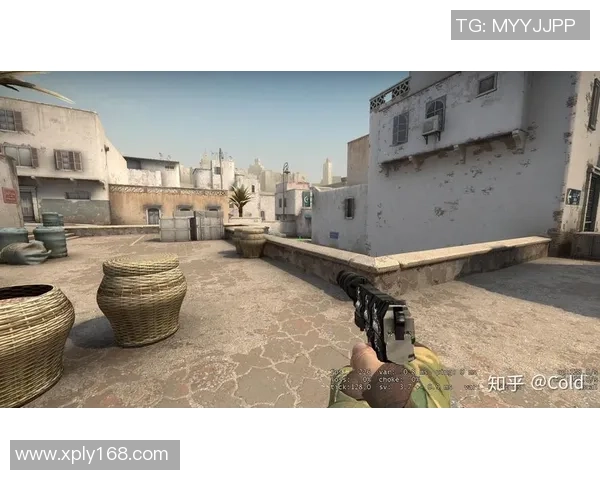 CSGO战术解析：TES区域防守策略与技巧全面剖析