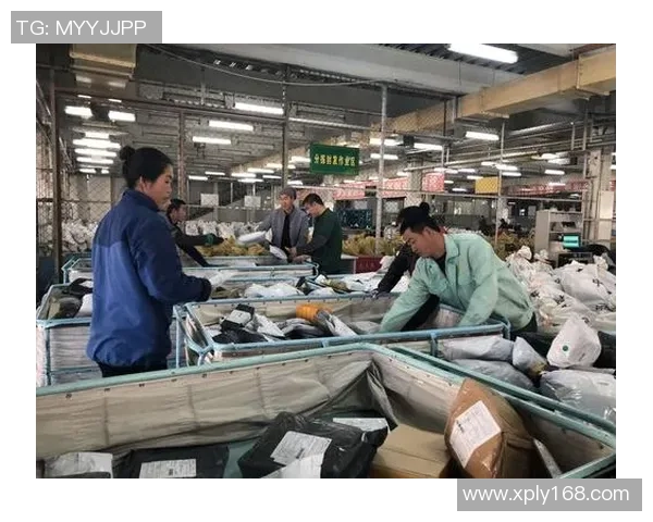 对话杨娜：回顾DOTA2职业生涯的挑战与成就