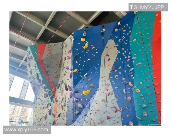 杭州攀岩队灵活性对比分析及其对训练效果的影响探讨