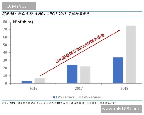 深度分析LNG市场转型策略与未来发展趋势探讨