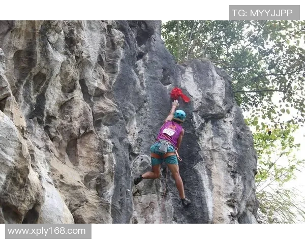 深圳攀岩队的快攻策略与深度分析揭示攀岩运动的魅力与挑战